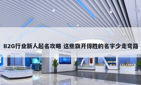 B2G行业新人起名攻略 这些旗开得胜的名字少走弯路