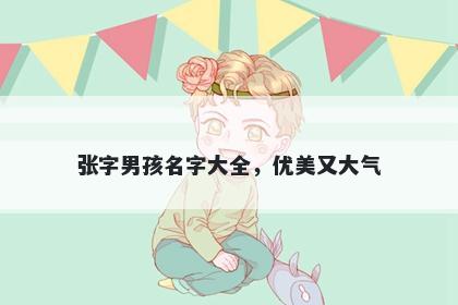 张字男孩名字大全，优美又大气