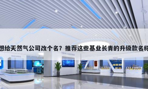 想给天然气公司改个名？推荐这些基业长青的升级款名称