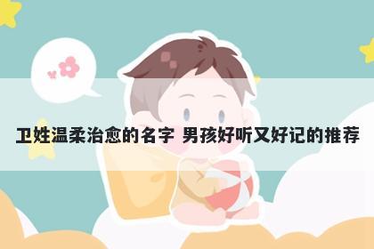 卫姓温柔治愈的名字 男孩好听又好记的推荐