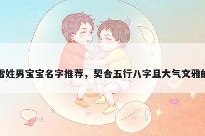 雷姓男宝宝名字推荐，契合五行八字且大气文雅的