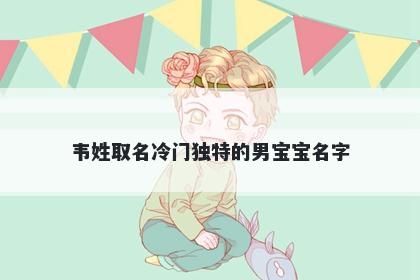 韦姓取名冷门独特的男宝宝名字