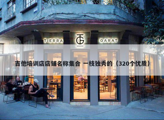 吉他培训店店铺名称集合 一枝独秀的（320个优质）