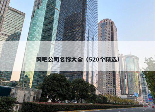 网吧公司名称大全（520个精选）