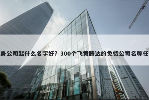 瘦身公司起什么名字好？300个飞黄腾达的免费公司名称任选