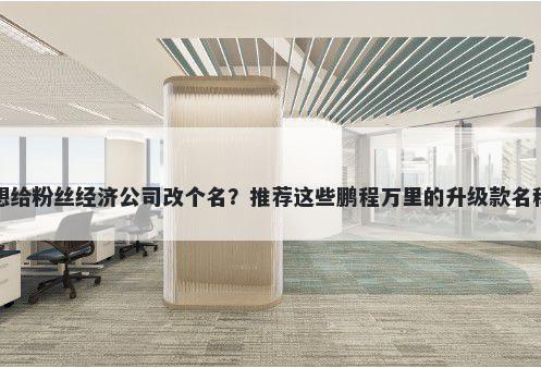 想给粉丝经济公司改个名？推荐这些鹏程万里的升级款名称