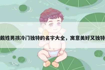 戴姓男孩冷门独特的名字大全，寓意美好又独特