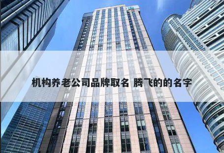 机构养老公司品牌取名 腾飞的的名字
