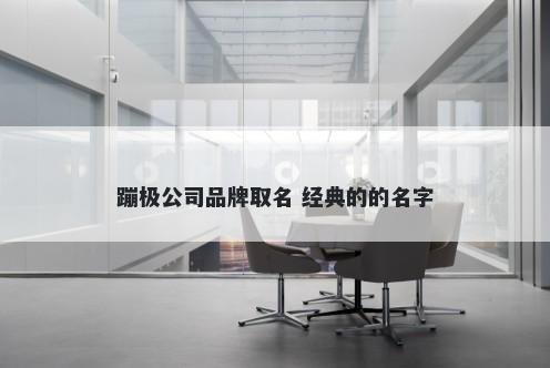 蹦极公司品牌取名 经典的的名字