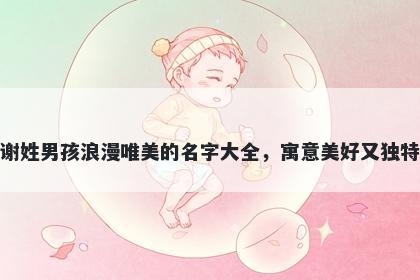 谢姓男孩浪漫唯美的名字大全，寓意美好又独特
