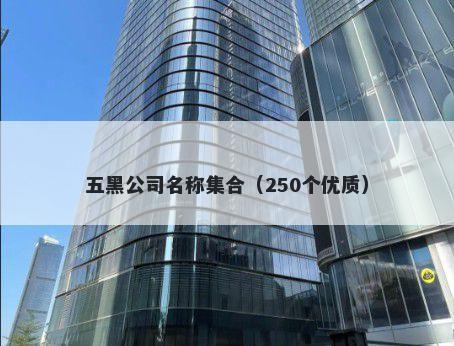 五黑公司名称集合（250个优质）