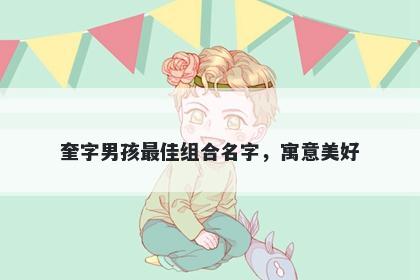 奎字男孩最佳组合名字，寓意美好