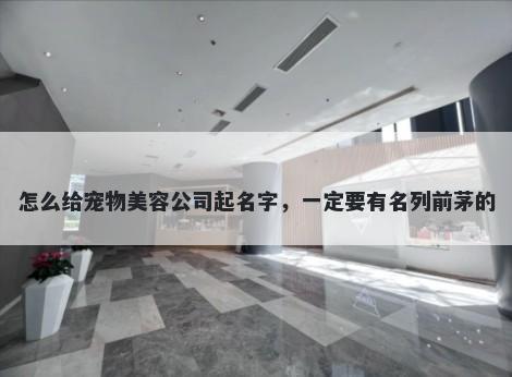 怎么给宠物美容公司起名字，一定要有名列前茅的
