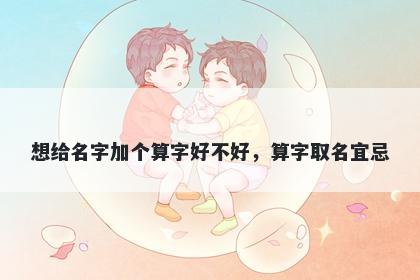 想给名字加个算字好不好，算字取名宜忌