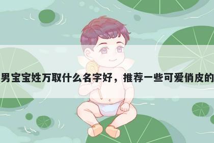 刚出生的男宝宝姓万取什么名字好，推荐一些可爱俏皮的男孩名字