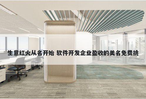 生意红火从名开始 软件开发企业盈收的美名免费挑