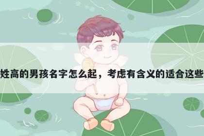 姓高的男孩名字怎么起，考虑有含义的适合这些
