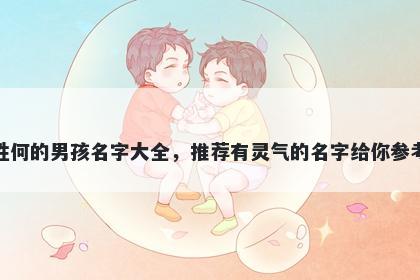 姓何的男孩名字大全，推荐有灵气的名字给你参考