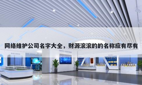 网络维护公司名字大全，财源滚滚的的名称应有尽有