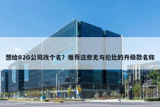 想给B2G公司改个名？推荐这些无与伦比的升级款名称