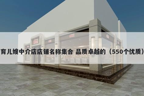 育儿嫂中介店店铺名称集合 品质卓越的（550个优质）