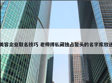 美容企业取名技巧 老师傅私藏独占鳌头的名字库放送