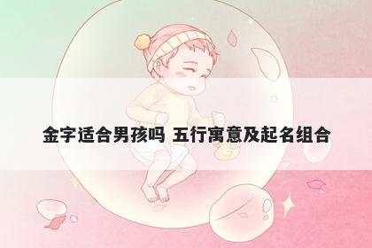 金字适合男孩吗 五行寓意及起名组合