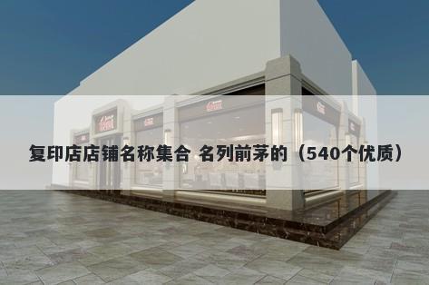 复印店店铺名称集合 名列前茅的（540个优质）