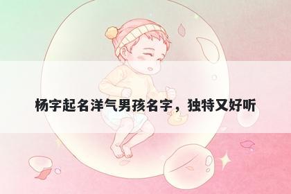 杨字起名洋气男孩名字，独特又好听