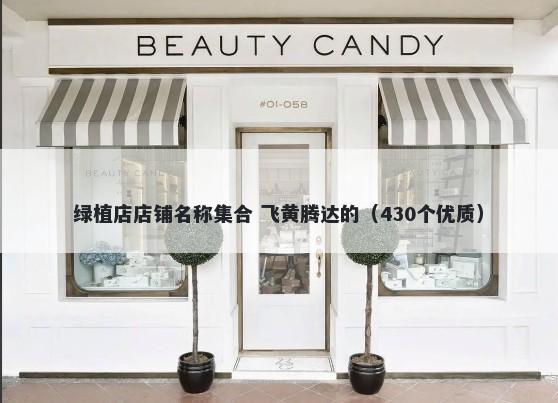 绿植店店铺名称集合 飞黄腾达的（430个优质）