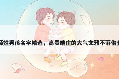 薛姓男孩名字精选，高贵端庄的大气文雅不落俗套