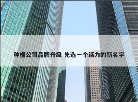 种植公司品牌升级 先选一个活力的新名字