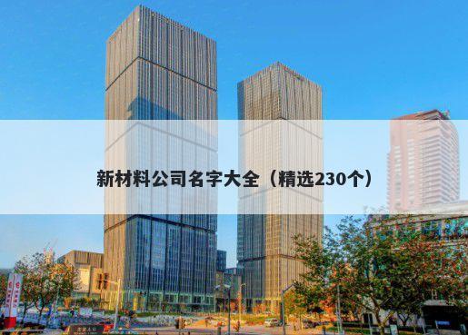新材料公司名字大全（精选230个）