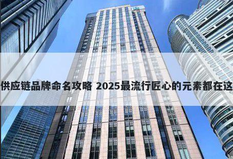 供应链品牌命名攻略 2025最流行匠心的元素都在这