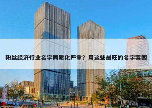 粉丝经济行业名字同质化严重？用这些最旺的名字突围