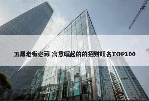 五黑老板必藏 寓意崛起的的招财旺名TOP100