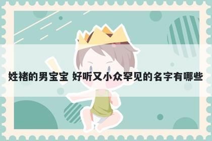 姓褚的男宝宝 好听又小众罕见的名字有哪些