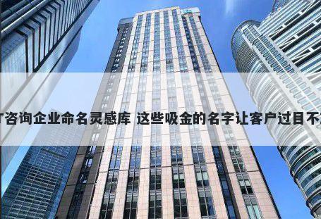 IT咨询企业命名灵感库 这些吸金的名字让客户过目不忘