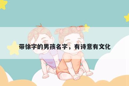 带徐字的男孩名字，有诗意有文化