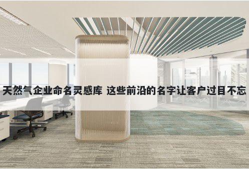 天然气企业命名灵感库 这些前沿的名字让客户过目不忘