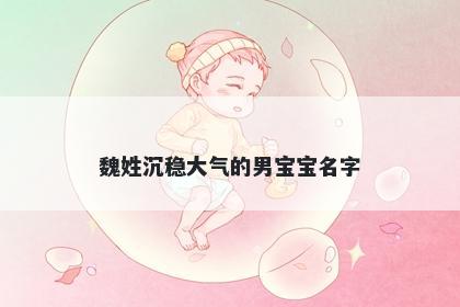 魏姓沉稳大气的男宝宝名字