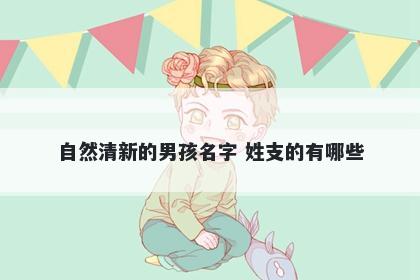 自然清新的男孩名字 姓支的有哪些