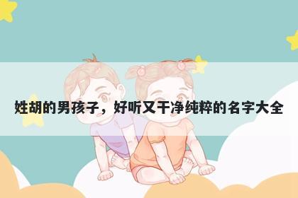 姓胡的男孩子，好听又干净纯粹的名字大全