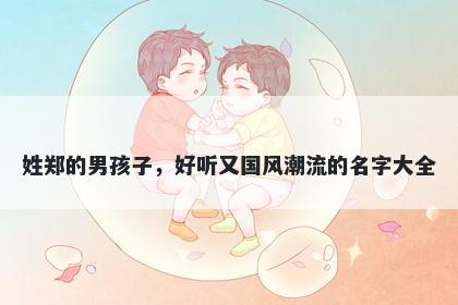 姓郑的男孩子，好听又国风潮流的名字大全