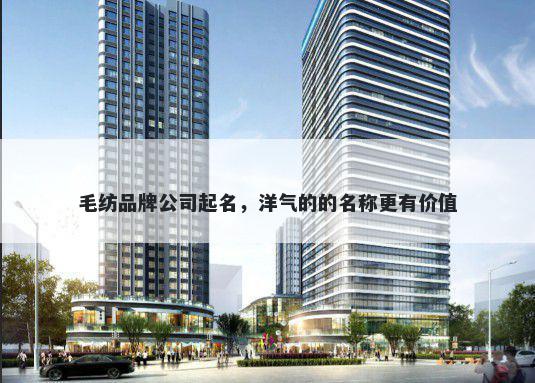 毛纺品牌公司起名，洋气的的名称更有价值