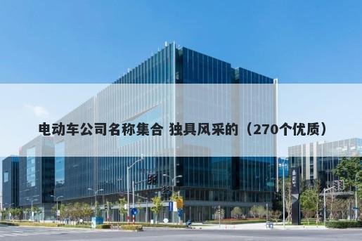 电动车公司名称集合 独具风采的（270个优质）