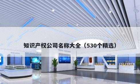 知识产权公司名称大全（530个精选）