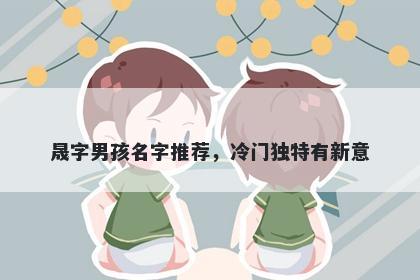 晟字男孩名字推荐，冷门独特有新意