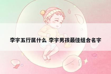 李字五行属什么 李字男孩最佳组合名字