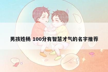 男孩姓杨 100分有智慧才气的名字推荐